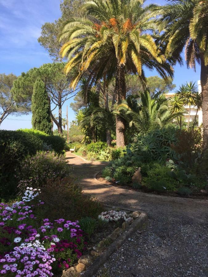 Ferienwohnung Les Orangers Saint-Raphaël Exterior foto
